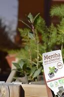 Hilton Madrid Airport