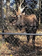 Courtyard by Marriott Portland Airport