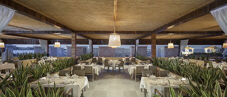 Nirvana Cosmopolitan