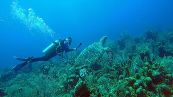 Hopkins Bay Belize, a Muy'Ono Resort