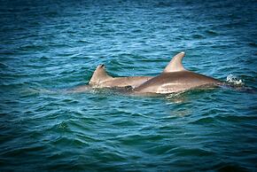 Hopkins Bay Belize, a Muy'Ono Resort