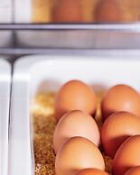 Altstadt Hotel Hofwirt Salzburg