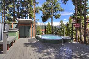 Los Pinos by Breckenridge Resort Managers