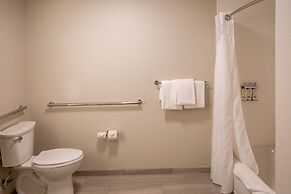 Holiday Inn Express & Suites Sioux City - Southern Hills by IHG