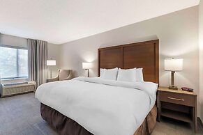 Comfort Inn & Suites Chestertown