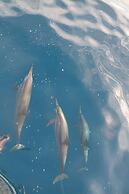 Biyadhoo Island Resort