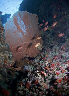 Biyadhoo Island Resort