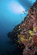 Biyadhoo Island Resort