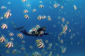 Bandos Maldives - One Way Transfer FREE for stays from 1st May till 30