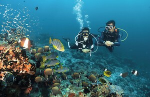 Bandos Maldives - One Way Transfer FREE for stays from 1st May till 30