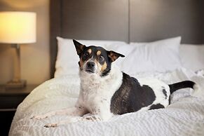 Garner Hotel Oklahoma City - Quail Springs by IHG