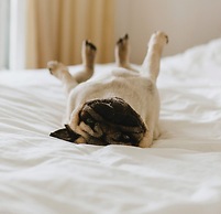 Garner Hotel Oklahoma City - Quail Springs by IHG