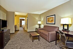 Holiday Inn & Suites Green Bay Stadium by IHG