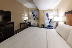 Holiday Inn Express Hotel & Suites Riverport Richmond by IHG