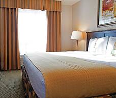 Holiday Inn Hotel & Suites West Edmonton by IHG