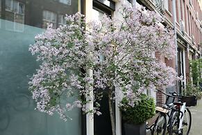 Adriaen van Ostade B&B