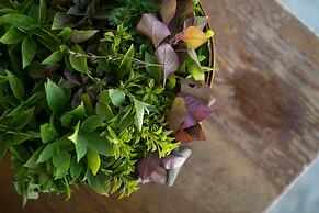 Gili Lankanfushi Maldives