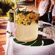 La Maison Des Oliviers