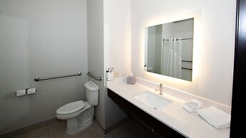 Holiday Inn Express Hotel & Suites Chicago South Lansing, an IHG Hotel