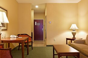 Holiday Inn Express Hotel & Suites San Antonio by IHG
