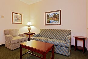 Holiday Inn Express Hotel & Suites San Antonio by IHG