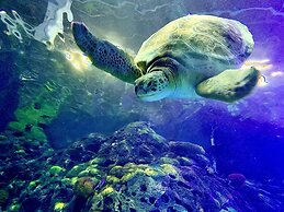 Hilton Branson Convention Center