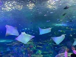 Hilton Branson Convention Center