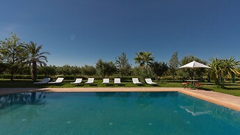 L'Oliveraie de l'atlas