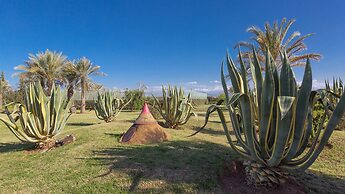 L'Oliveraie de l'atlas