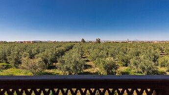 L'Oliveraie de l'atlas