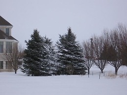 Claremont Inn & Winery