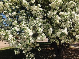 Claremont Inn & Winery