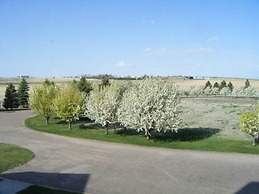 Claremont Inn & Winery