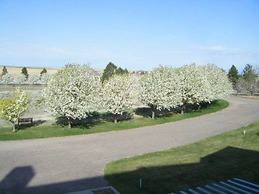 Claremont Inn & Winery