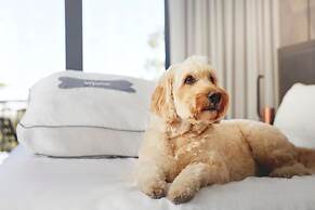 The Westin Monache Resort, Mammoth