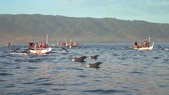 Aneka Lovina Villas and Spa