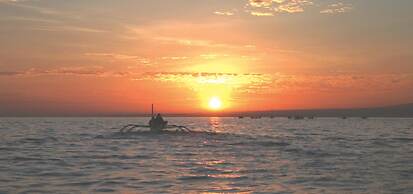 Aneka Lovina Villas and Spa