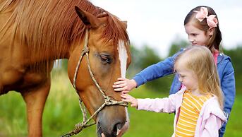 Charles Wesley Motor Lodge