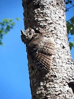 Hotel Villas Chicanna