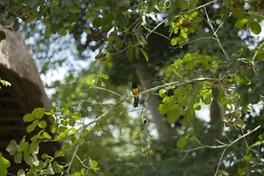 Hotel Villas Chicanna