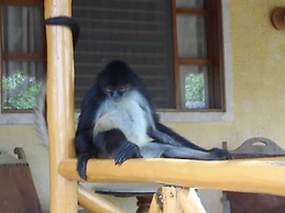 Hotel Villas Chicanna