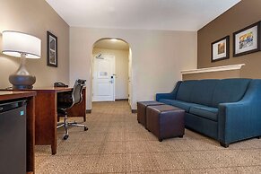 Comfort Inn & Suites Ukiah Mendocino County