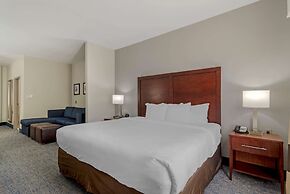 Comfort Suites Stockbridge Atlanta South