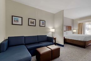 Comfort Suites Stockbridge Atlanta South