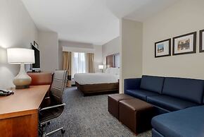 Comfort Suites Stockbridge Atlanta South