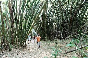 Chabil Mar Luxury Villas - Guest Exclusive Beach Resort