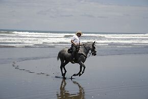 Alma Del Pacifico Beach Hotel & Spa