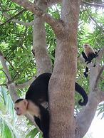 Alma Del Pacifico Beach Hotel & Spa