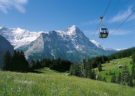 Alpinhotel Bort