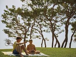 Iberostar Selection Playa de Muro Village